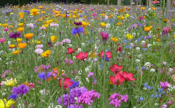 couleurnature couleur nature