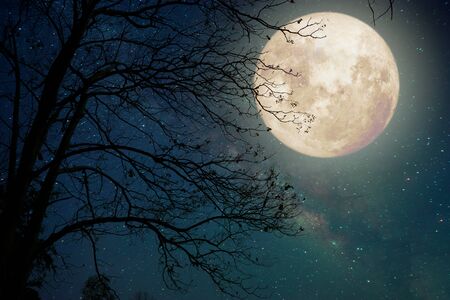 sortie nocturne libre de droit
